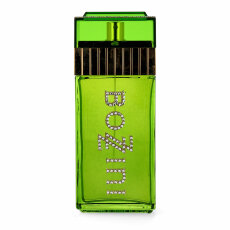 Bozzini Vert für Herren Eau de Parfum 100 ml