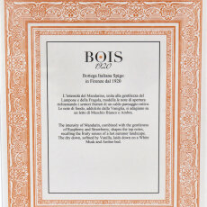 Bois 1920 Insieme Eau de Parfum Unisex 100 ml