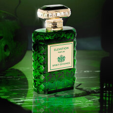 Spirit of Kings Elevation Parfum 100 ml